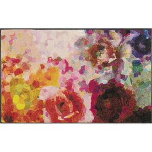 Esposa DVEŘNÍ ROHOŽKA, 75/120 cm vícebarevná obraz