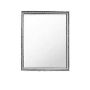 Carryhome NÁSTĚNNÉ ZRCADLO 45/55/2 cm obraz