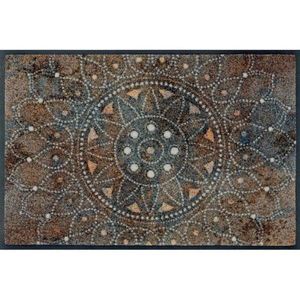 DVEŘNÍ ROHOŽKA, 40/60 cm vícebarevná obraz