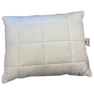 Schlafmond POLŠTÁŘ POD HLAVU, obraz