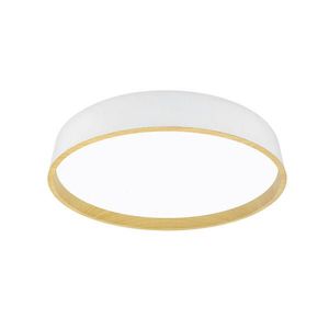 STROPNÍ LED SVÍTIDLO, 50/8 cm obraz