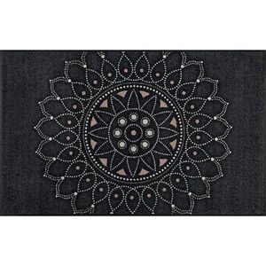 Esposa DVEŘNÍ ROHOŽKA, 75/120 cm černá obraz