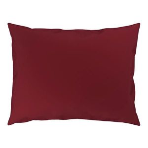 Novel POVLAK NA POLŠTÁŘ, 40/60 cm, bavlna obraz