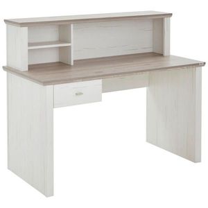 Hom`in SEKRETÁŘ obraz