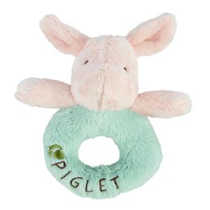 Disney CHRASTÍTKO obraz