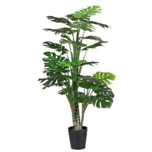 UMĚLÁ ROSTLINA obraz