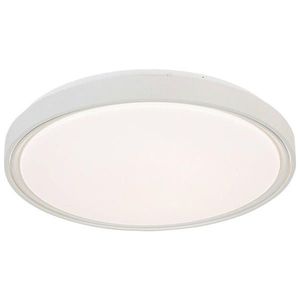 Novel STROPNÍ SVÍTIDLO, 48/8 cm obraz