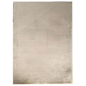KOBEREC S VYSOKÝM VLASEM, 160/230 cm, béžová obraz