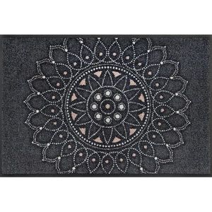 Esposa DVEŘNÍ ROHOŽKA, 50/75 cm antracitová, béžová obraz