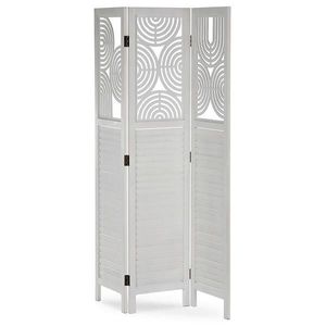 PARAVÁN, 121/2/171 cm obraz