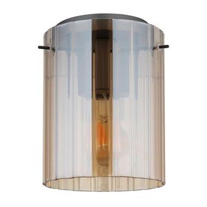 Globo STROPNÍ SVÍTIDLO, 18/23 cm obraz