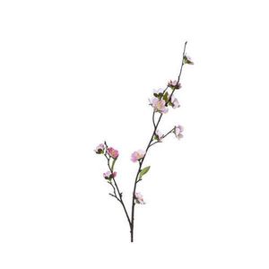 VYKVETLÁ VĚTVIČKA TŘEŠNĚ obraz