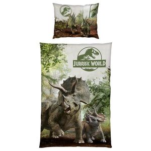 DĚTSKÉ POVLEČENÍ 140/200 cm obraz