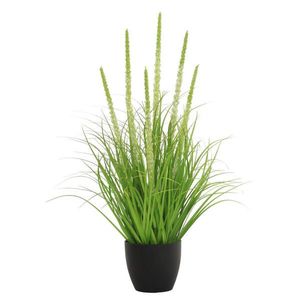 Ambia Home DEKORAČNÍ TRÁVA, 70 cm obraz