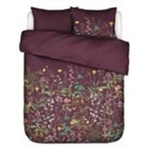 Essenza POVLEČENÍ obraz