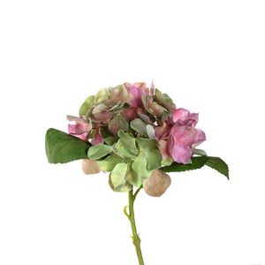 Leonardo HORTENZIE 33 cm obraz