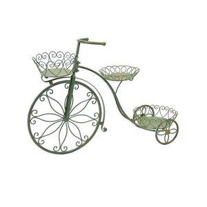 STOJAN NA KVĚTINY obraz