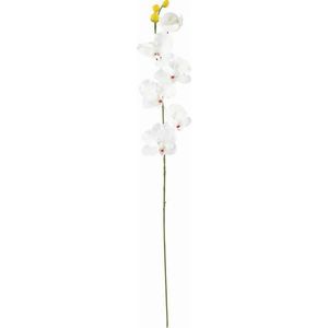 UMĚLÁ KVĚTINA orchidej 72 cm obraz