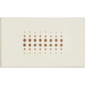 Grund KOBEREC DO KOUPELNY, 60/100 cm obraz