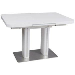 Hom`in JÍDELNÍ STŮL, bílá, barvy nerez oceli, 120-160/80/76 cm obraz