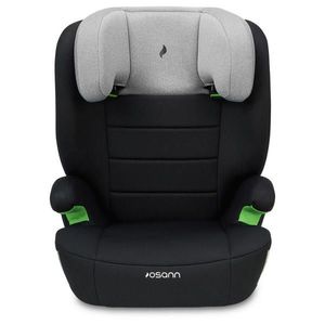 Osann DĚTSKÁ AUTOSEDAČKA obraz