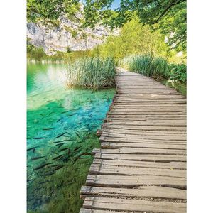 Euroart MALBA NA PLÁTNĚ, krajina a příroda, 60/80 cm obraz