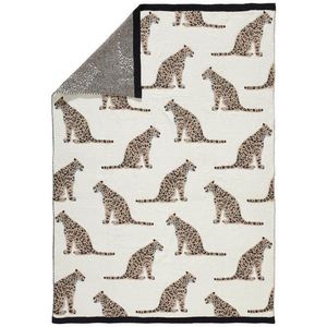 Novel PLÉD, bavlna, 130/170 cm obraz