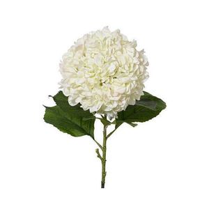 HORTENZIE 106 cm obraz