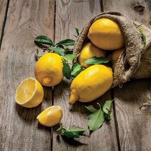 Euroart MALBA NA PLÁTNĚ, jídlo a pití, 30/30 cm obraz