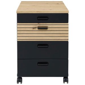 Stylife POJÍZDNÝ KONTEJNER, 45/66/55 cm obraz