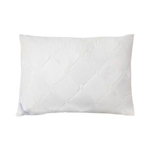 Sleeptex POLŠTÁŘ, obraz