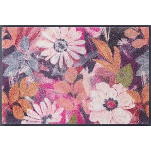 wash+dry DVEŘNÍ ROHOŽKA, 50/75 cm vícebarevná obraz