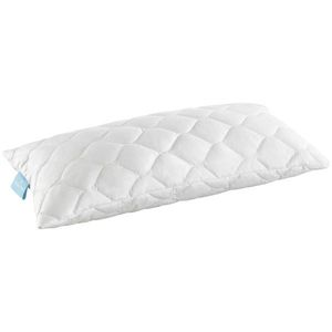 POLŠTÁŘ POD HLAVU, 40/80 cm obraz