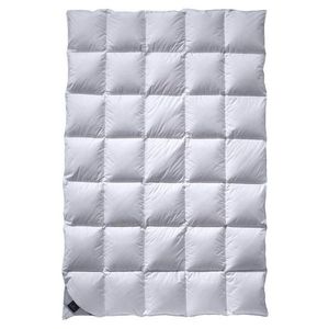 Billerbeck CELOROČNÍ PŘIKRÝVKA, 140/220 cm, prachové peří obraz