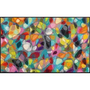 Esposa DVEŘNÍ ROHOŽKA, 75/120 cm vícebarevná obraz