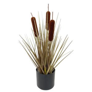 Ambia Home OROBINEC, 40 cm obraz