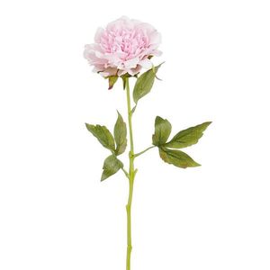 UMĚLÁ KVĚTINA 57 cm obraz