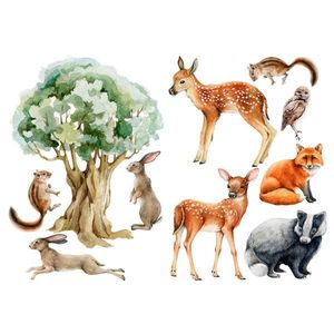 Euroart SAMOLEPKA NA ZEĎ obraz