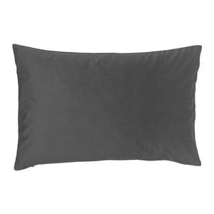 Novel POTAH NA POLŠTÁŘ 40/60 cm obraz