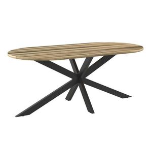 Ambia Garden ZAHRADNÍ STŮL, dřevo, kov, 200/76/100 cm obraz