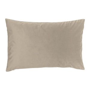 Novel POTAH NA POLŠTÁŘ 40/60 cm obraz