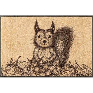 DVEŘNÍ ROHOŽKA, 50/75 cm vícebarevná obraz