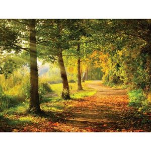 MALBA NA PLÁTNĚ, stromy, 30/40 cm obraz