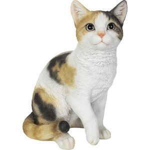 DEKORAČNÍ KOČKA obraz