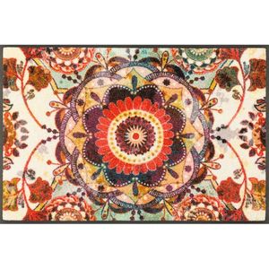 DVEŘNÍ ROHOŽKA, 50/75 cm vícebarevná obraz