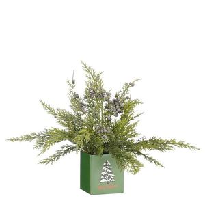 UMĚLÁ ROSTLINA obraz