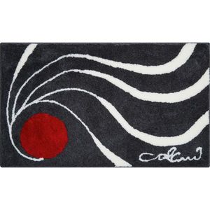 Grund KOBEREC DO KOUPELNY, 60/100 cm obraz