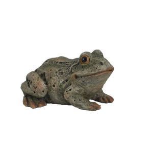 DEKORAČNÍ ŽÁBA obraz