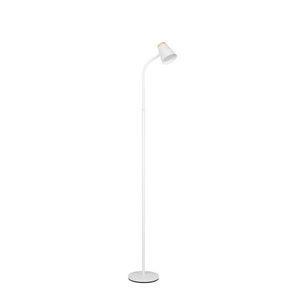 STOJACÍ LED SVÍTIDLO, 145/19, 5/37 cm obraz
