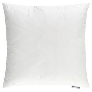 Centa-Star POLŠTÁŘ POD HLAVU, 80/80 cm obraz